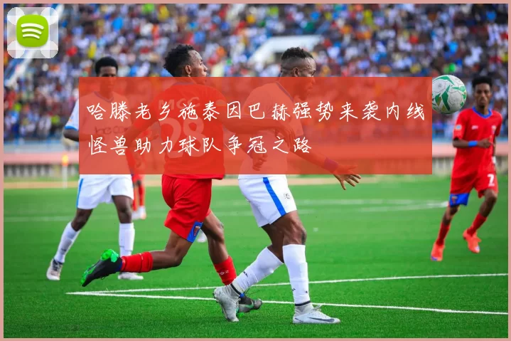 哈滕老乡施泰因巴赫强势来袭内线怪兽助力球队争冠之路